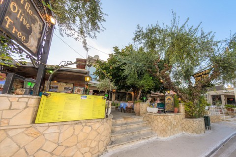 The Olive Tree Taverna