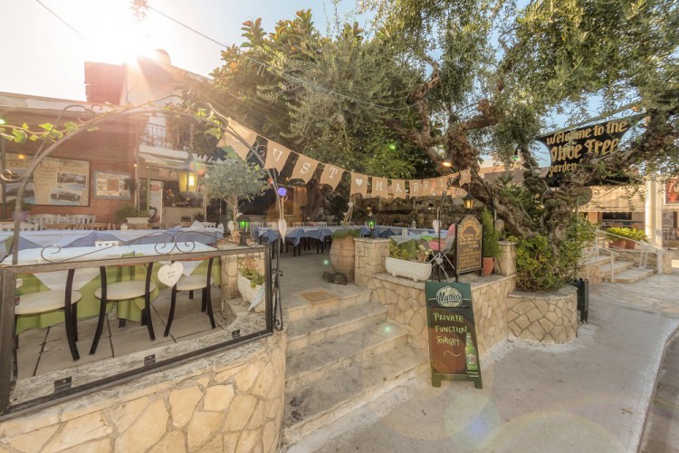 the olive tree taverna - opening night for 2016 summer season